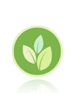 Payment Gateway